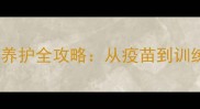 边境牧羊犬3个月养护全攻略从疫苗到训练的7大关键步骤