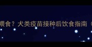 打完疫苗后多久能正常喂食犬类疫苗接种后饮食指南附24小时护理全攻略