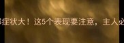 拉布拉多抑郁症状大这5个表现要注意主人必看救助指南
