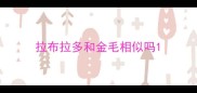 拉布拉多和金毛相似吗