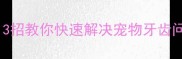 小狗牙齿发黄有救了3招教你快速解决宠物牙齿问题附日常护理指南
