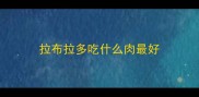 拉布拉多吃什么肉最好