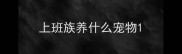 上班族养什么宠物