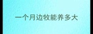 一个月边牧能养多大