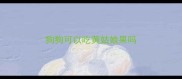 狗狗可以吃黄姑娘果吗