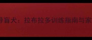 自闭症儿童导盲犬拉布拉多训练指南与家长必读手册