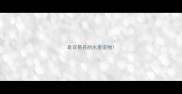 最容易养的水里宠物