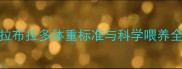 9月龄拉布拉多体重标准与科学喂养全攻略