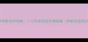 贵宾犬科学剃毛时间表1-12月全阶段护理指南附剃毛前后对比图