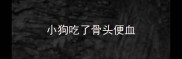 小狗吃了骨头便血