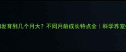 狗狗发育到几个月大不同月龄成长特点全科学养宠指南