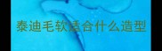 泰迪毛软适合什么造型