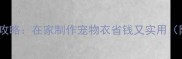 泰迪熊冬季保暖服装DIY全攻略在家制作宠物衣省钱又实用附详细尺寸表与缝制技巧