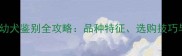 小拉布拉多幼犬鉴别全攻略品种特征选购技巧与养护要点