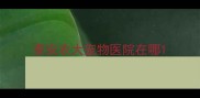 泰安农大宠物医院在哪