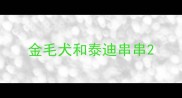 金毛犬和泰迪串串