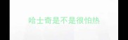 哈士奇是不是很怕热