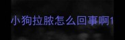 小狗拉脓怎么回事啊