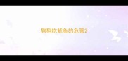 狗狗吃鱿鱼的危害