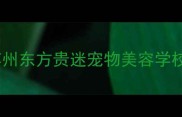 苏州东方贵迷宠物美容学校