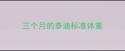 三个月的泰迪标准体重