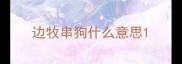 边牧串狗什么意思