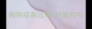 狗狗疫苗过期1月能打吗
