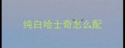 纯白哈士奇怎么配