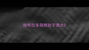 拉布拉多突然肚子很大