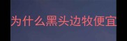 为什么黑头边牧便宜