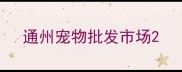 通州宠物批发市场