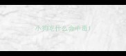 小狗吃什么会中毒