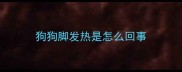 狗狗脚发热是怎么回事