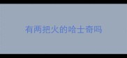 有两把火的哈士奇吗