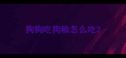 狗狗吃狗粮怎么吃