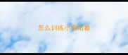 怎么训练小狗站着