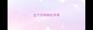 五个月狗狗吃苹果