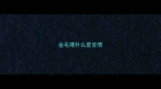 金毛喂什么爱发情