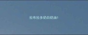 拉布拉多奶白奶油