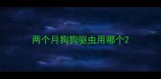 两个月狗狗驱虫用哪个