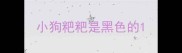 小狗粑粑是黑色的