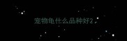 宠物龟什么品种好