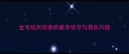 金毛幼犬拒食的紧急信号与潜在风险