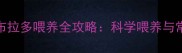 两个月大拉布拉多喂养全攻略科学喂养与常见问题解答