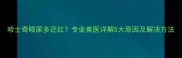 哈士奇眼屎多还红专业兽医详解5大原因及解决方法