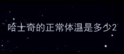 哈士奇的正常体温是多少