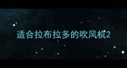 适合拉布拉多的吹风机