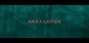 狗狗多大之后打疫苗