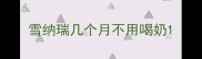雪纳瑞几个月不用喝奶