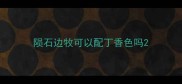 陨石边牧可以配丁香色吗